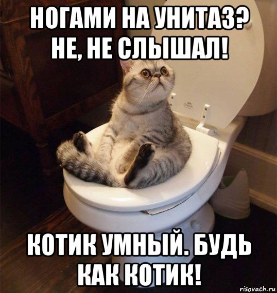 На унитаз ногами не вставать