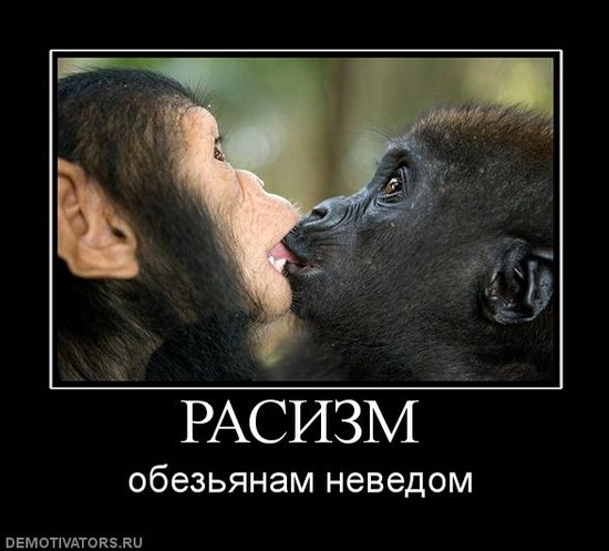 Негр обезьяна