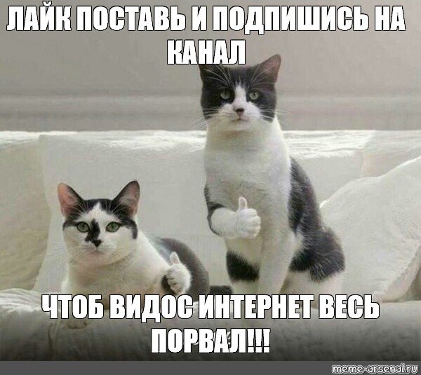 Кот поставь лайк