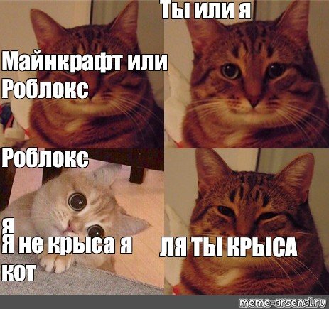Мемы с котами