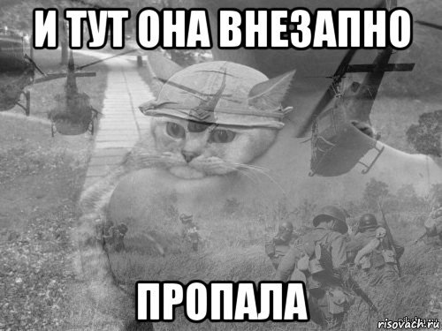 Кот пропадает Мем