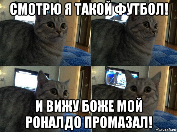 Боже Мем с котом