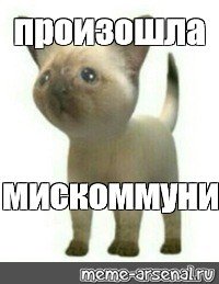 Я русский Мем с котом