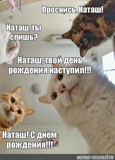 Наташа Проснись коты с днем рождения