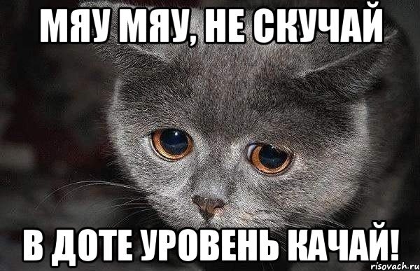 Кот Мем мяу