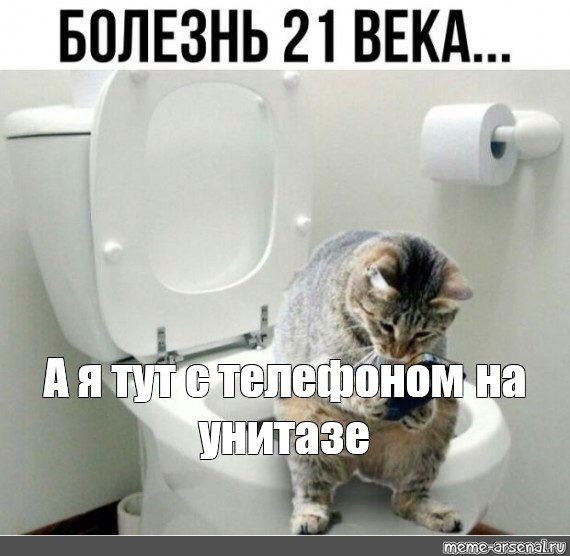 Кот на унитазе Мем