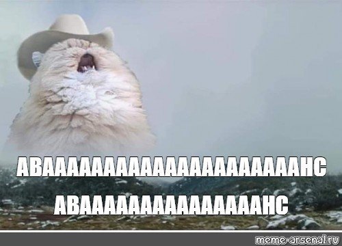 Орущий кот в шляпе Мем