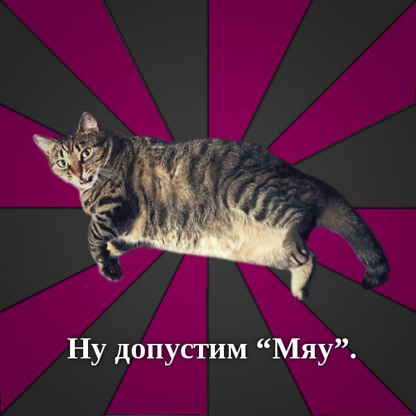 Мяк мяк мяк