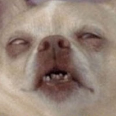 Животное закатило глаза