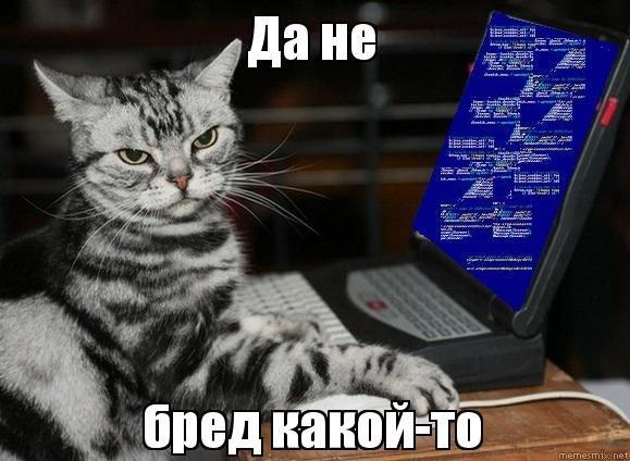 Кот да не бред какой-то