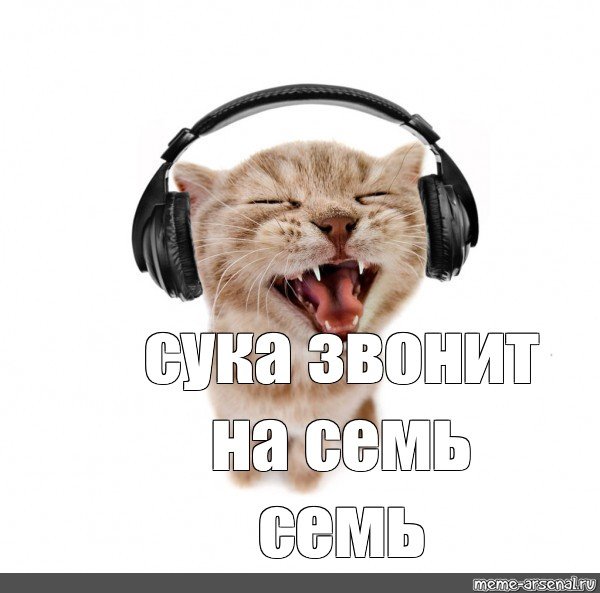 Кошка с наушниками