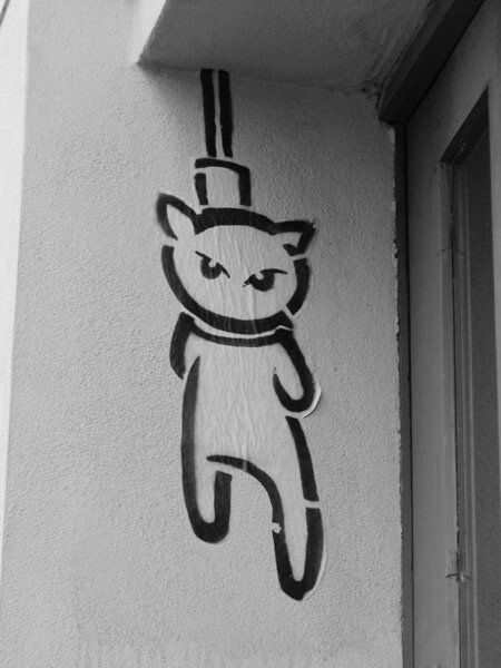 Кот повесился