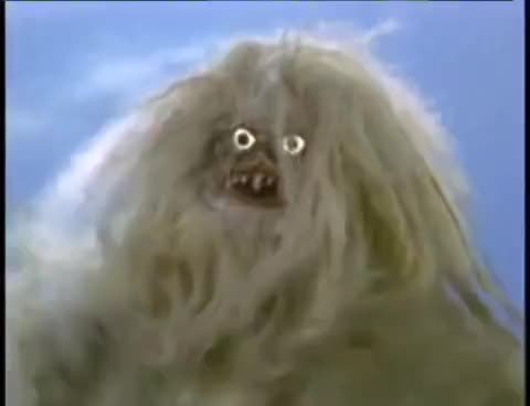 Пушистое чудовище