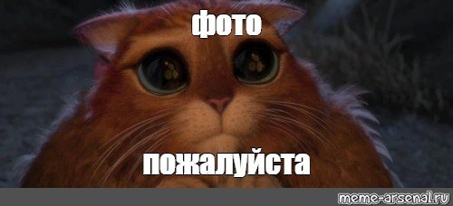 Кот из Шрека с большими