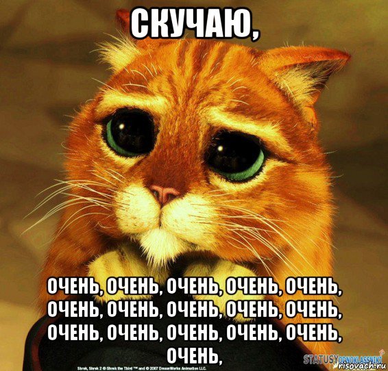 Кот из Шрека