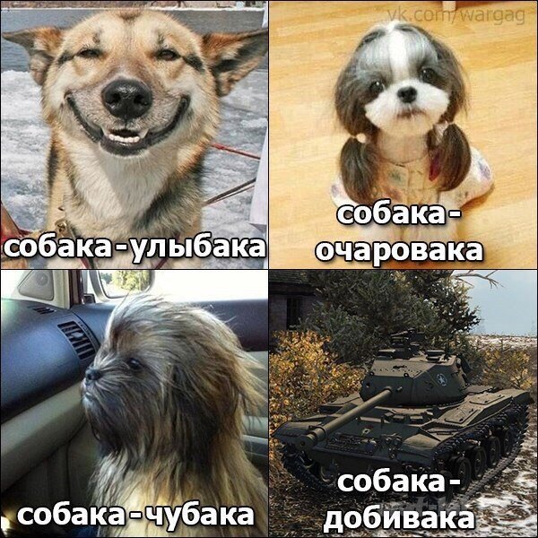 Собака улыбака мемы
