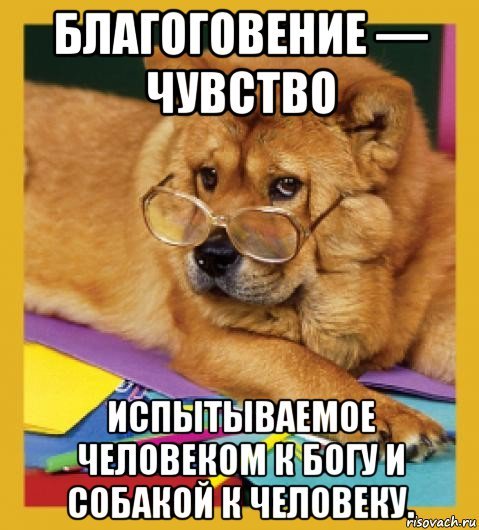 Общайтесь с собакой