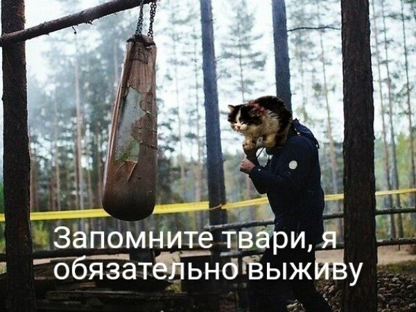 Я обязательно выживу мемы