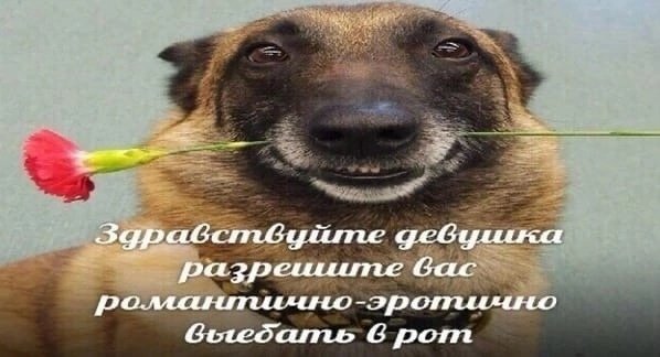 Разрешите вас романтишно эротишно