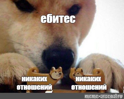 Мем две собаки ебитесь