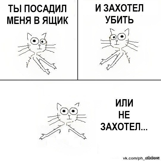 Кот Шрёдингера