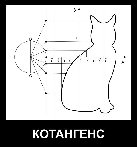 Котангенс кот