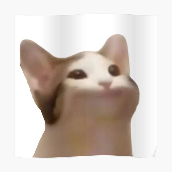 Мемы кот с открытым ртом