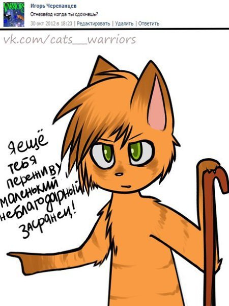 Коты Воители приколы