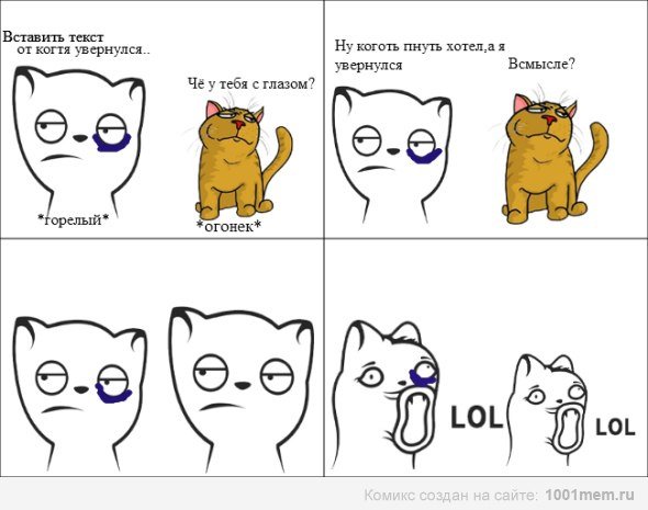 Коты Воители приколы