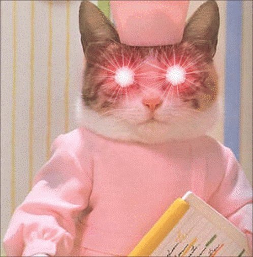 Котик медсестра