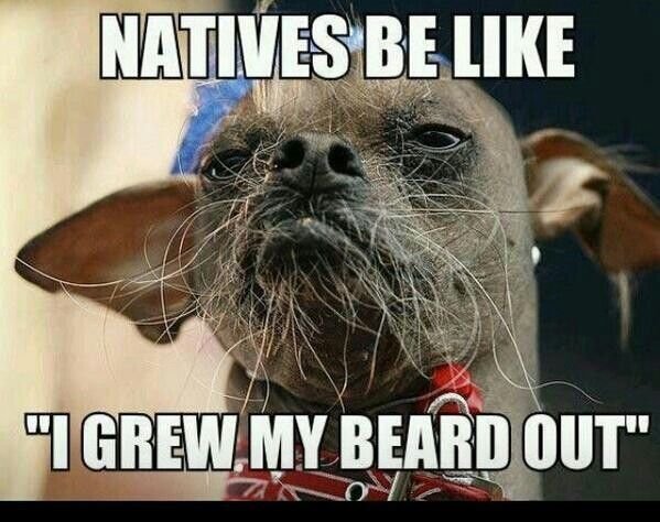 Инопланетная смешная собака с бородой