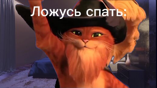 Кот в сапогах