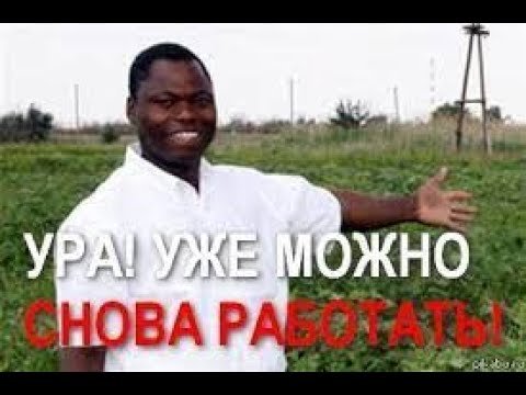 Работай негр
