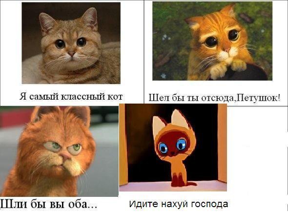 Мемы с котами