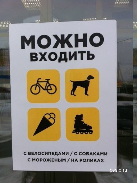 Собака на роликах с мороженым