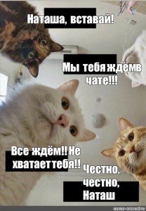 Наташа просыпайся