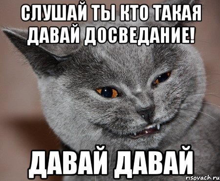 С котом слышь ты кто