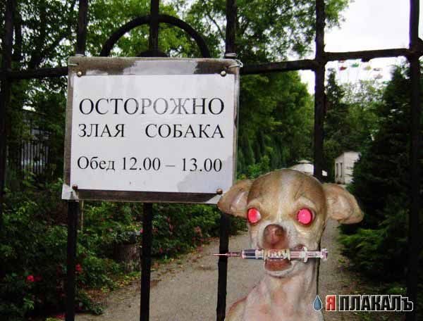 Смешные объявления осторожно злая собака