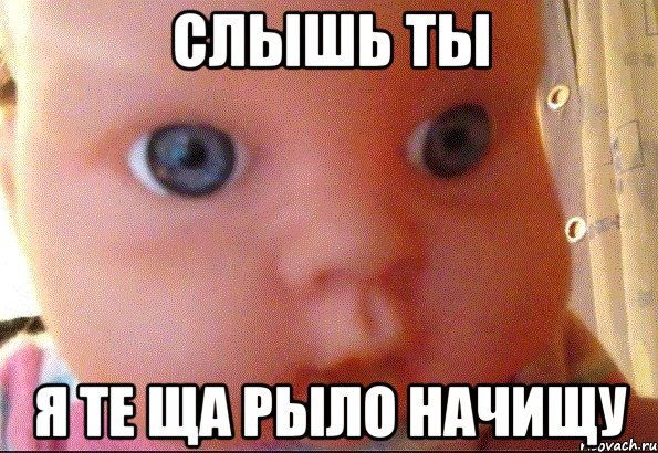 С котом слышь ты кто