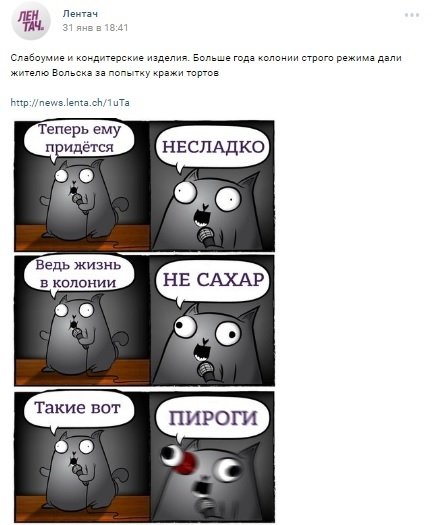 Мемы кот стендапер