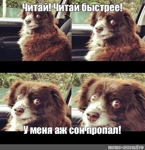 Мем с чтением и сон