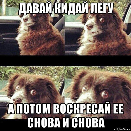 Поехали собака Мем