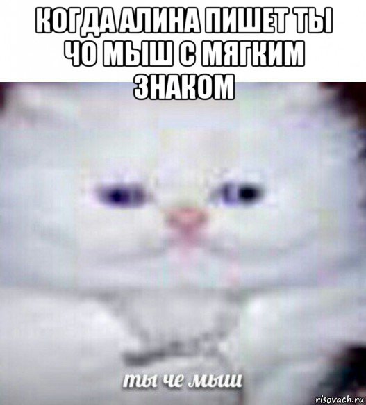 Слышь мышь