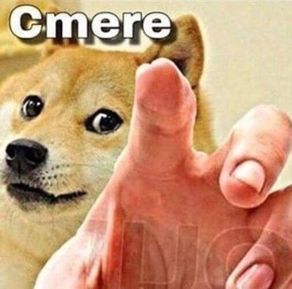 Доги с руками облизывается