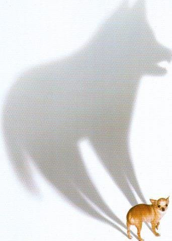 Собачка с тенью волка