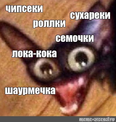 Кот чипсики