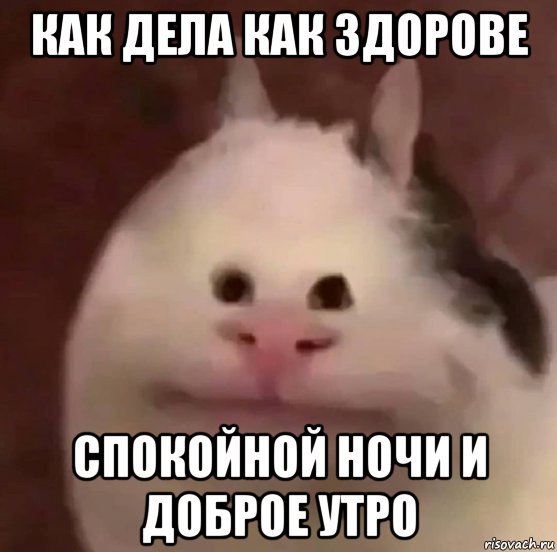 Пикча спокойной ночи