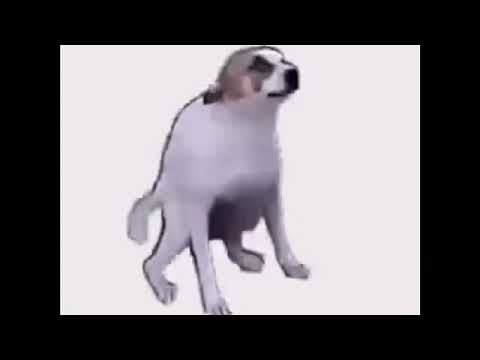 Танцующая собака Мем