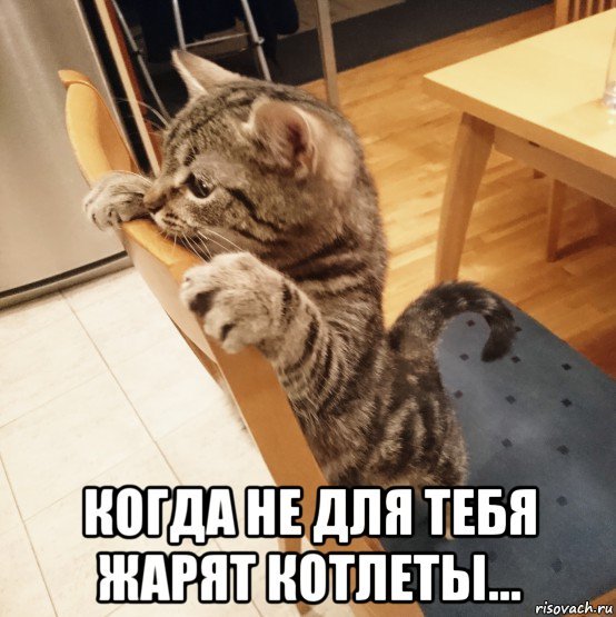 Шуточная котлета