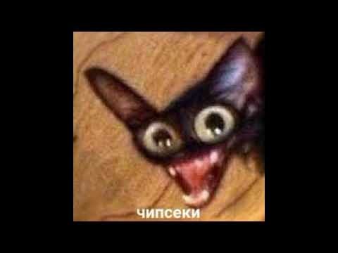 Чипсеки Мем с котом оригинал